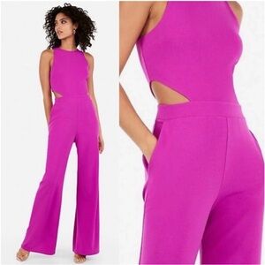 Express Sleeveless Plum Jumpsuit